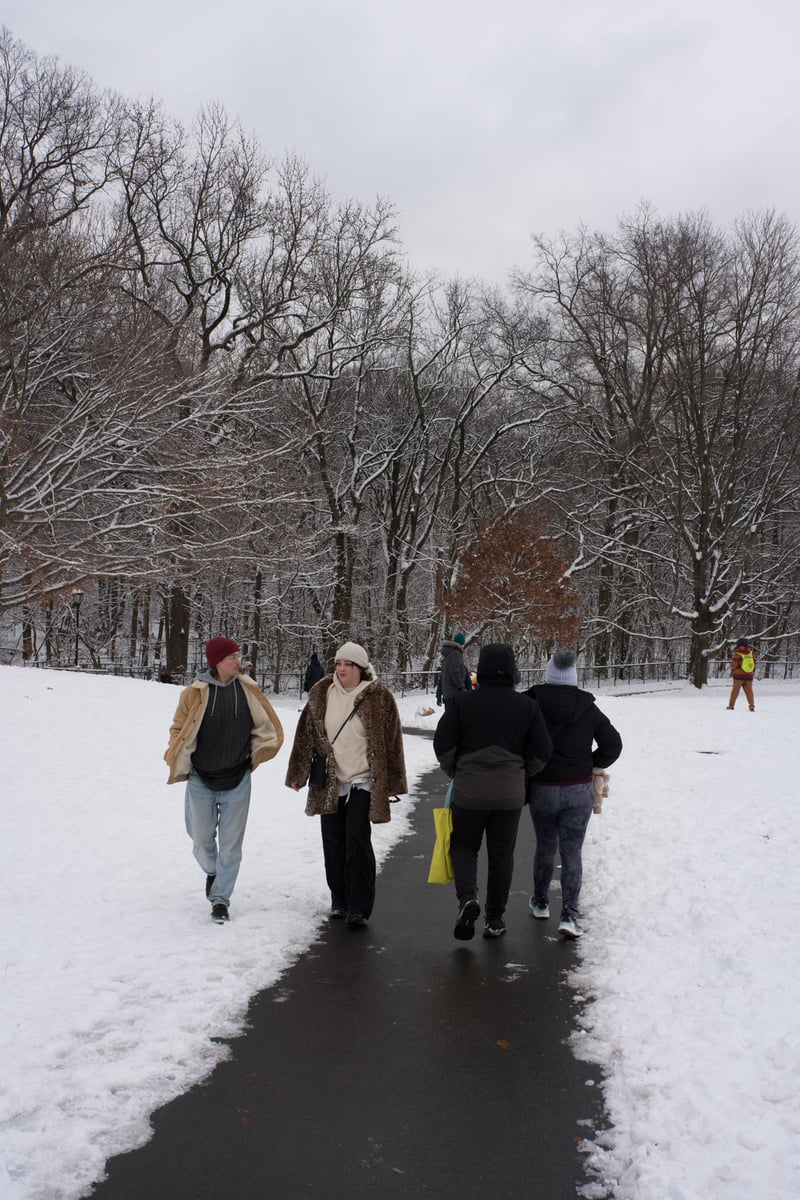 snow 2025-12-27-48.png