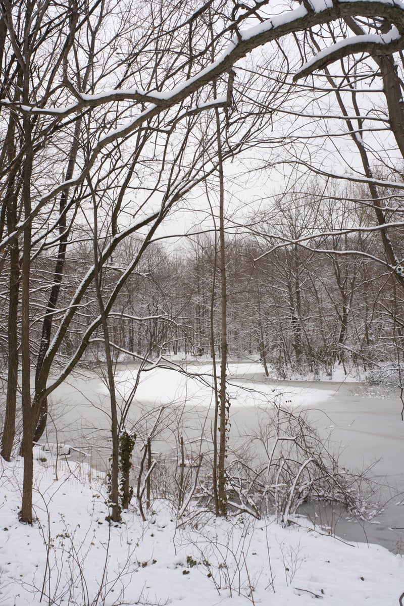 snow 2025-12-27-73.png