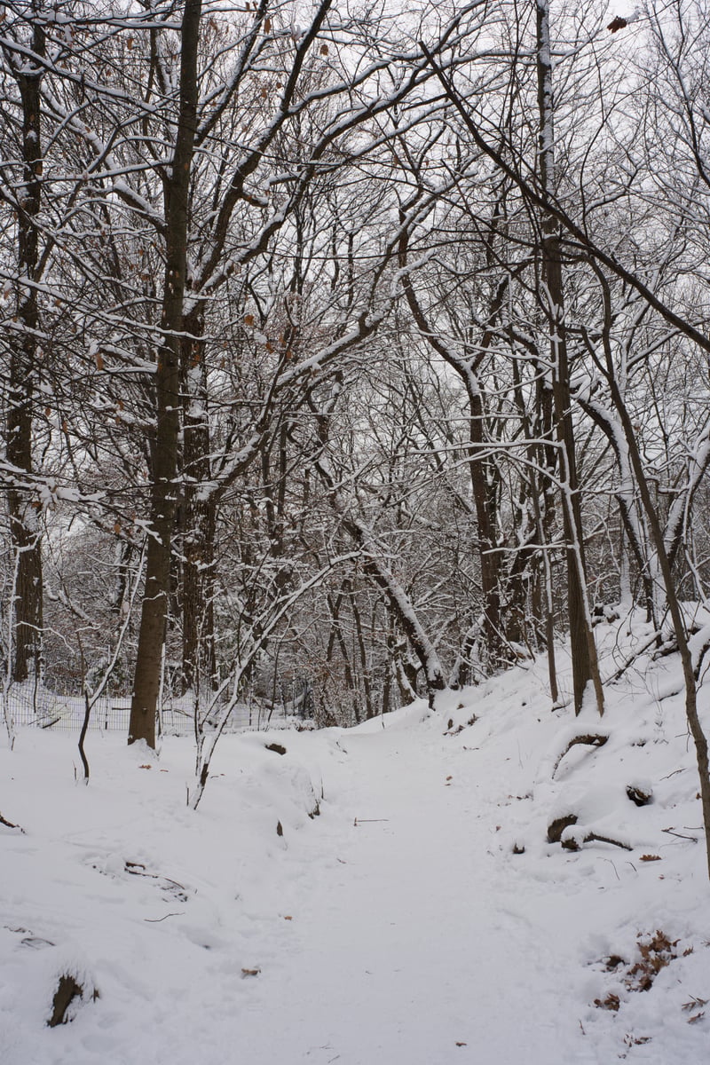 snow 2025-12-27-100.png