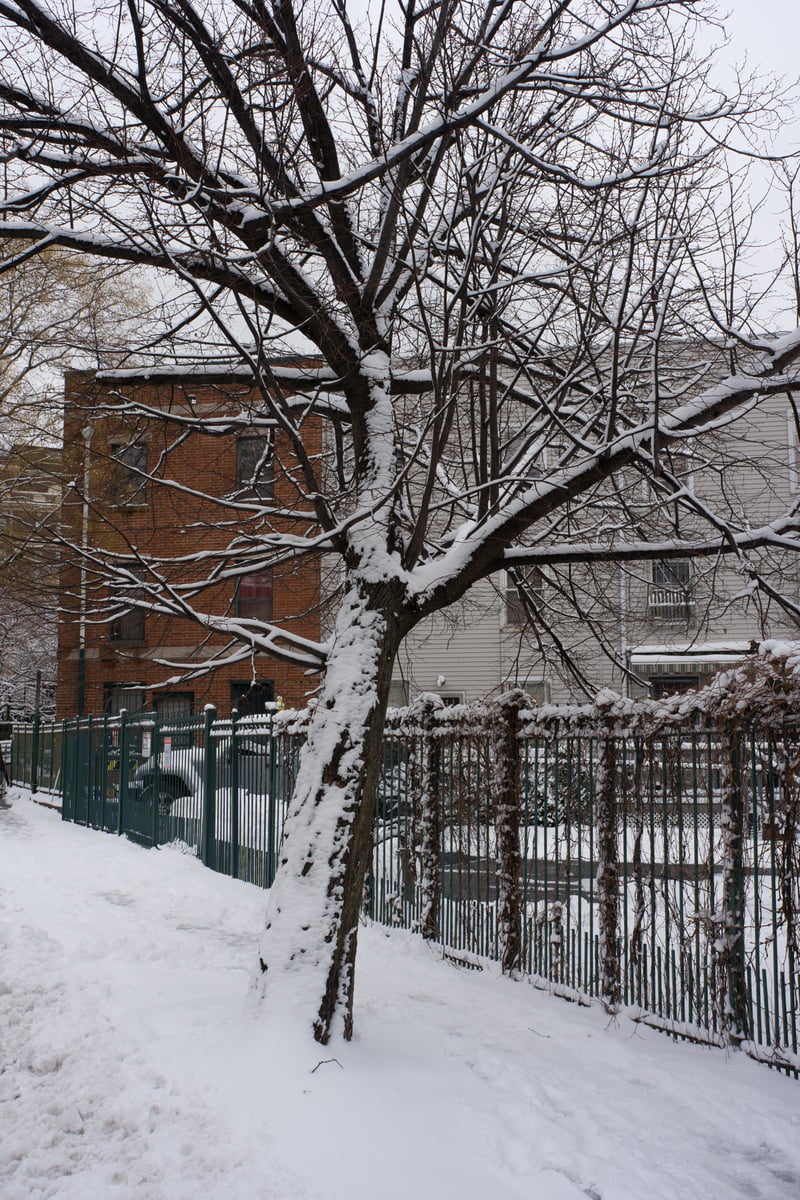 snow 2025-12-27-6.png