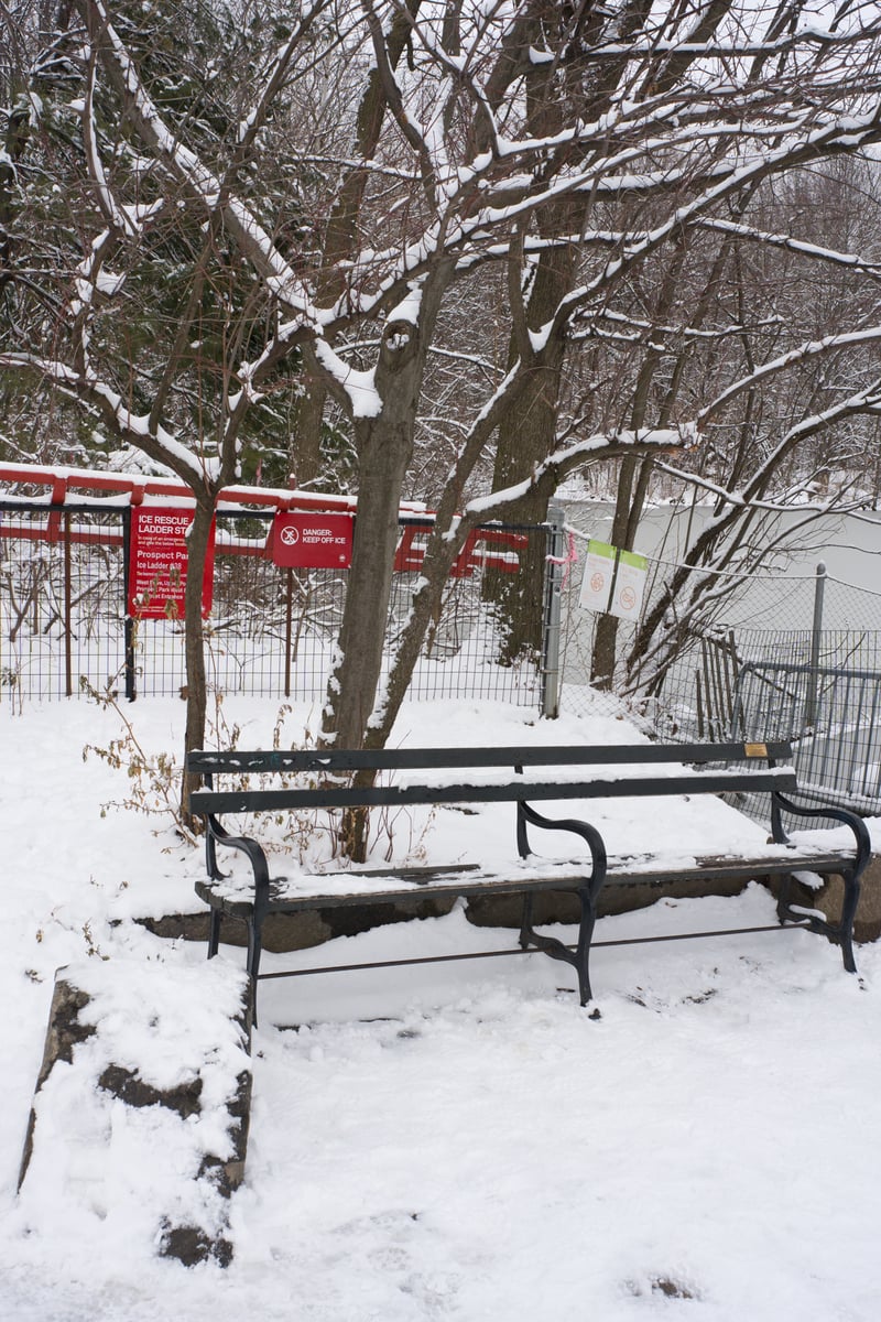 snow 2025-12-27-72.png