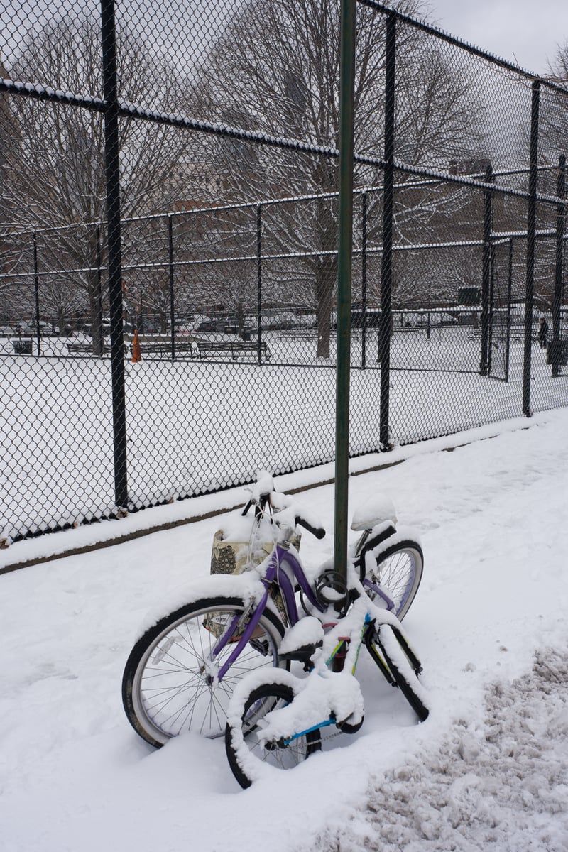 snow 2025-12-27-4.png