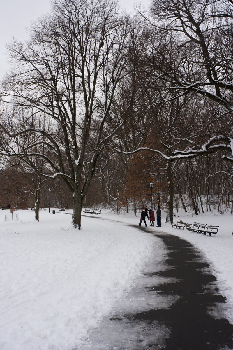 snow 2025-12-27-39.png
