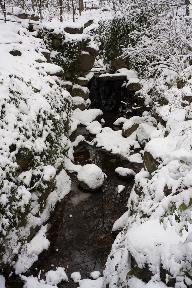 snow 2025-12-27-92.png
