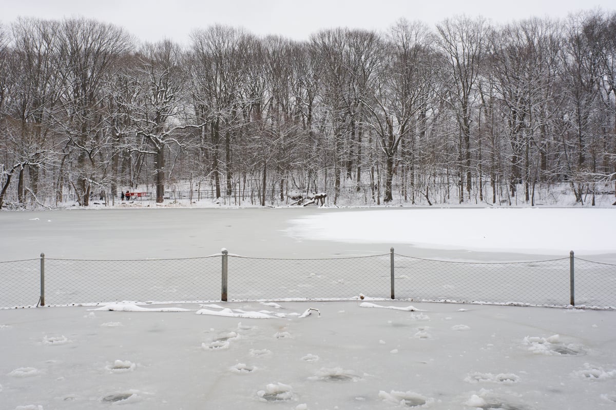 snow 2025-12-27-70.png