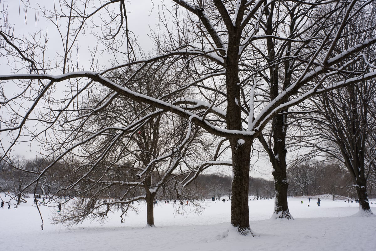 snow 2025-12-27-37.png