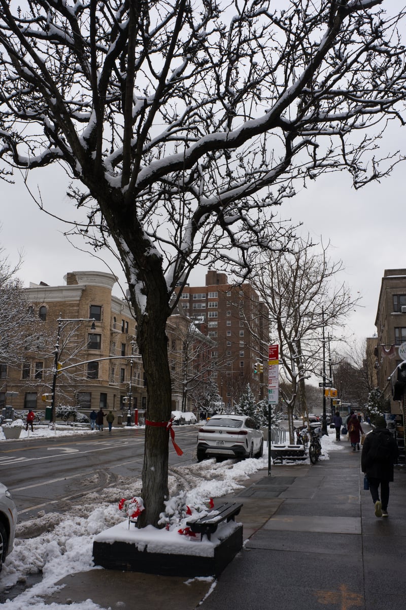 snow 2025-12-27-23.png