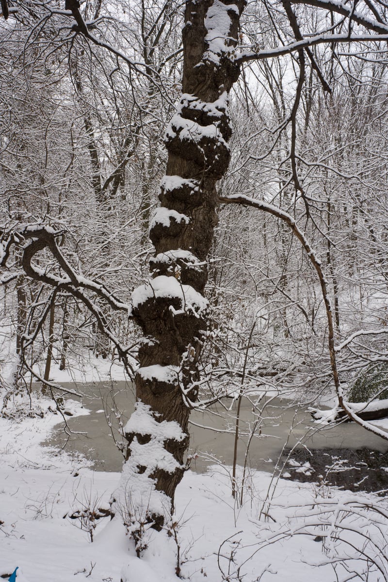 snow 2025-12-27-85.png