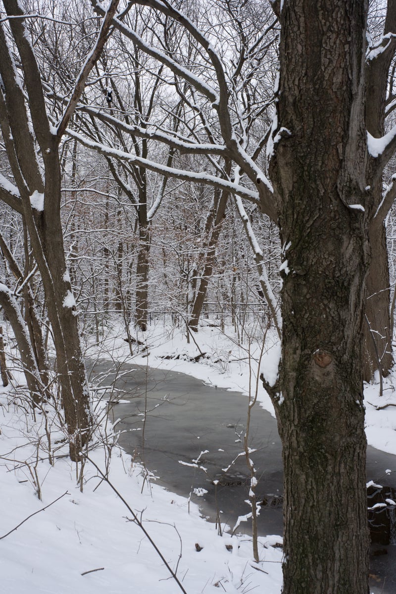 snow 2025-12-27-78.png