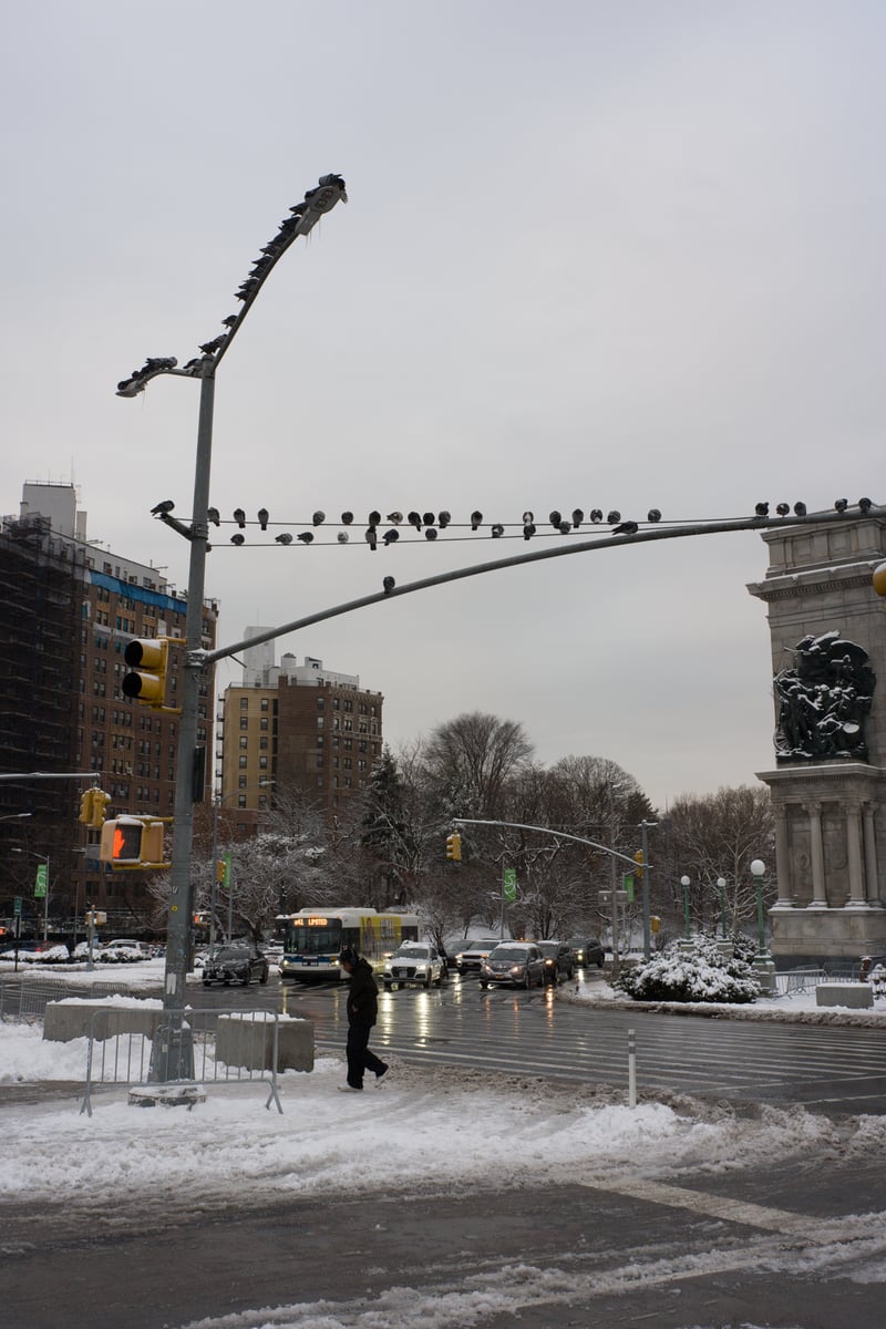 snow 2025-12-27-113.png
