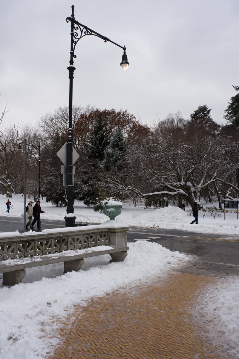 snow 2025-12-27-30.png