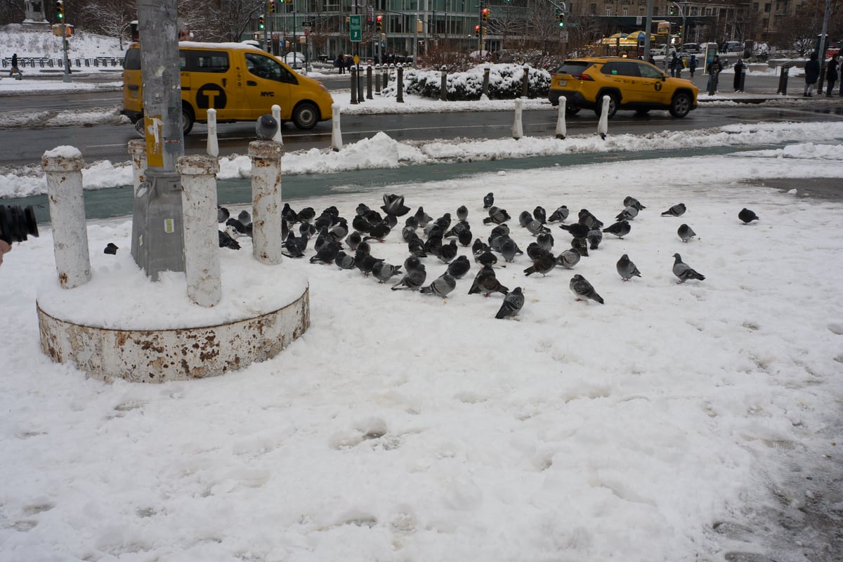 snow 2025-12-27-115.png