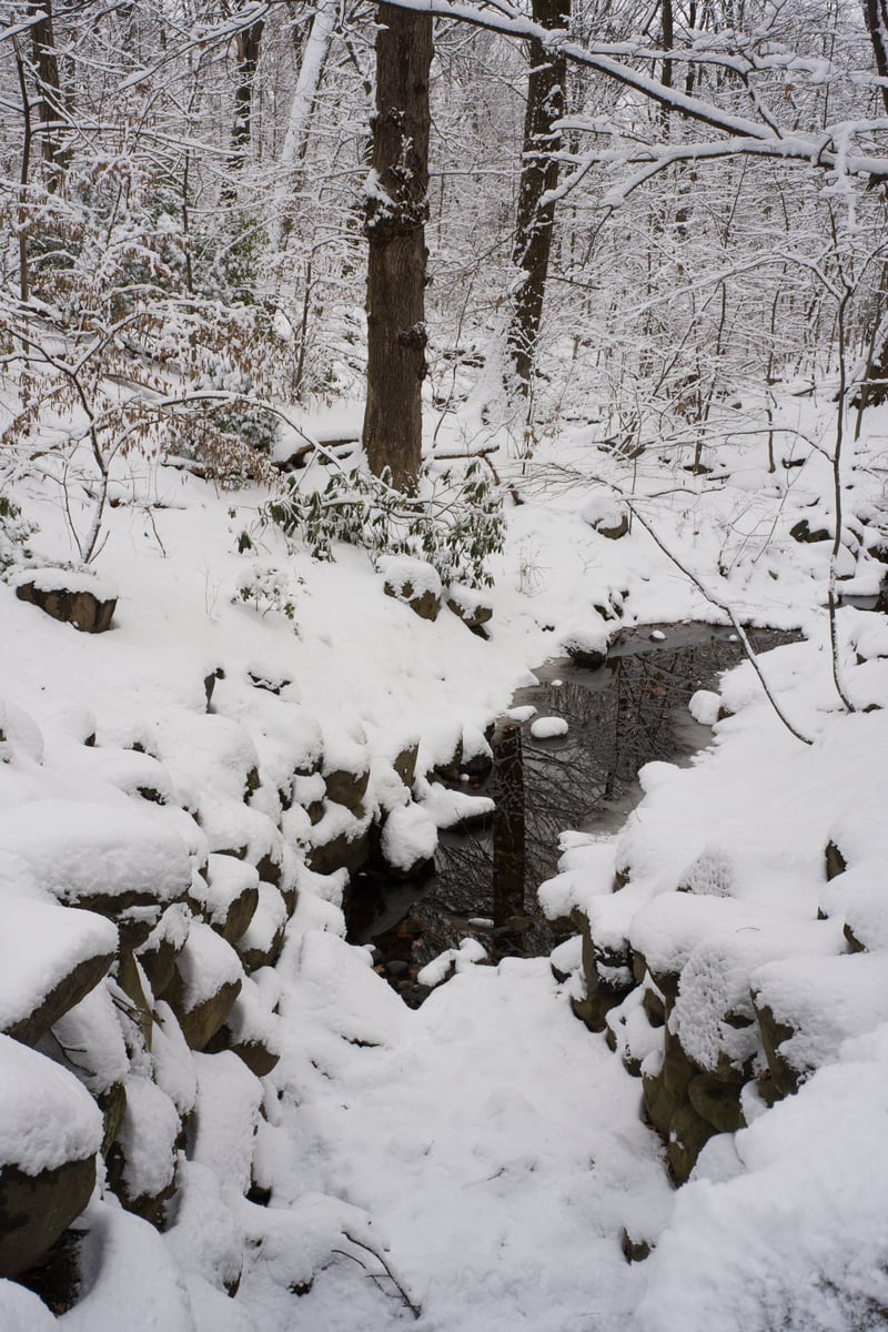 snow 2025-12-27-95.png