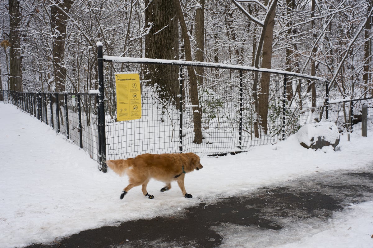 snow 2025-12-27-79.png
