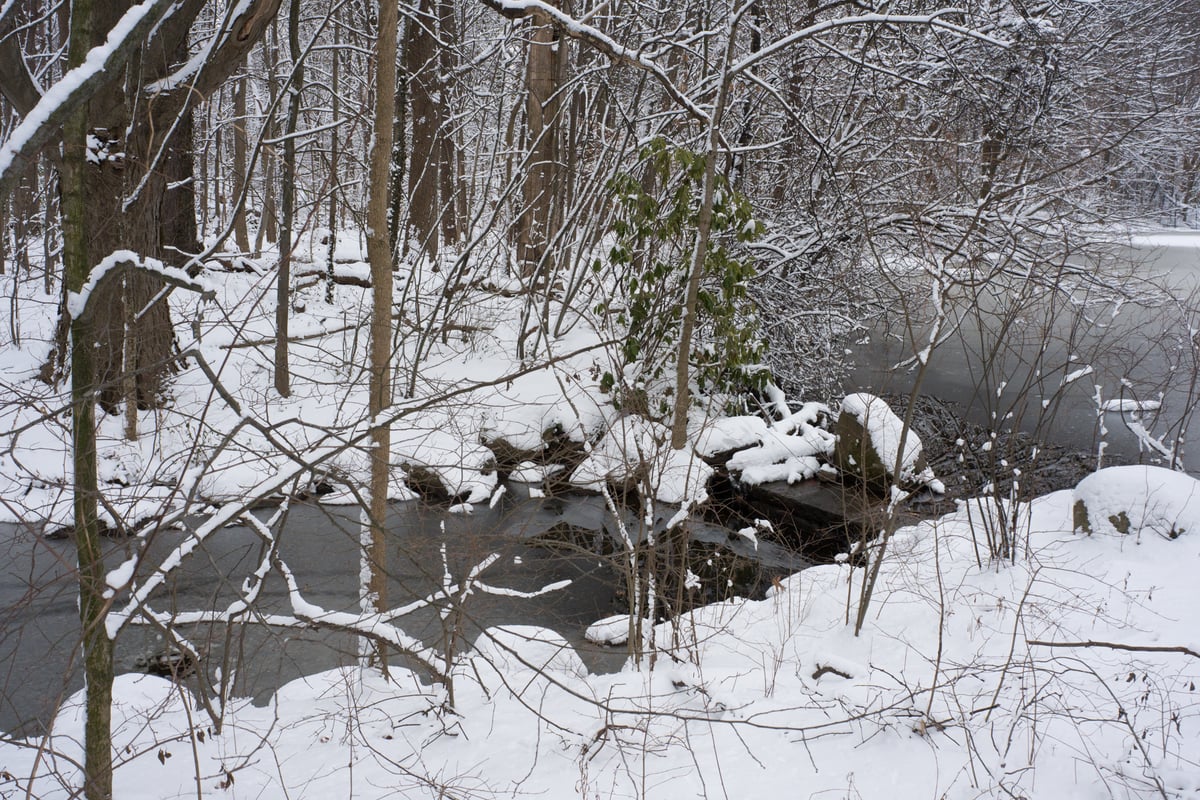 snow 2025-12-27-77.png