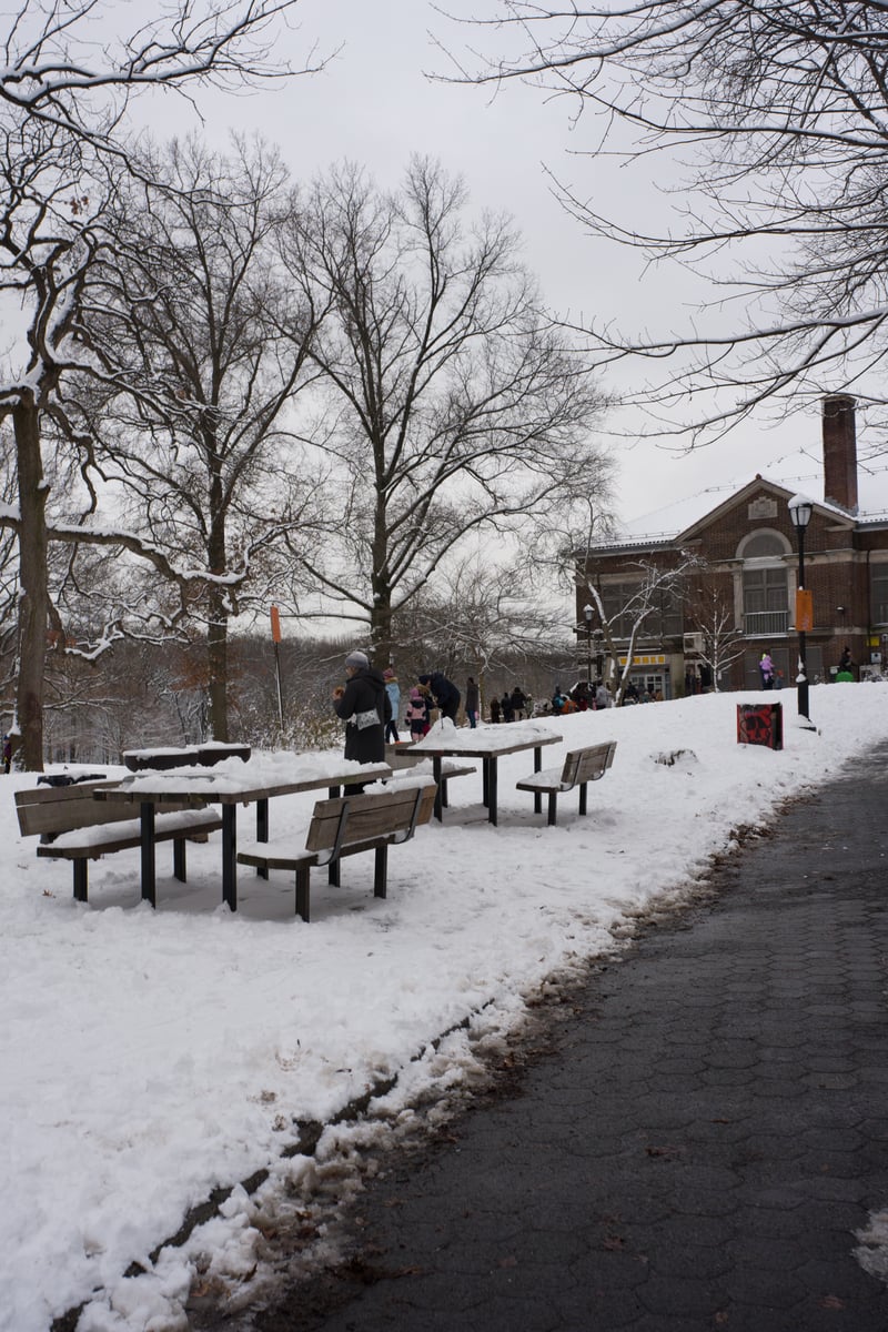 snow 2025-12-27-41.png