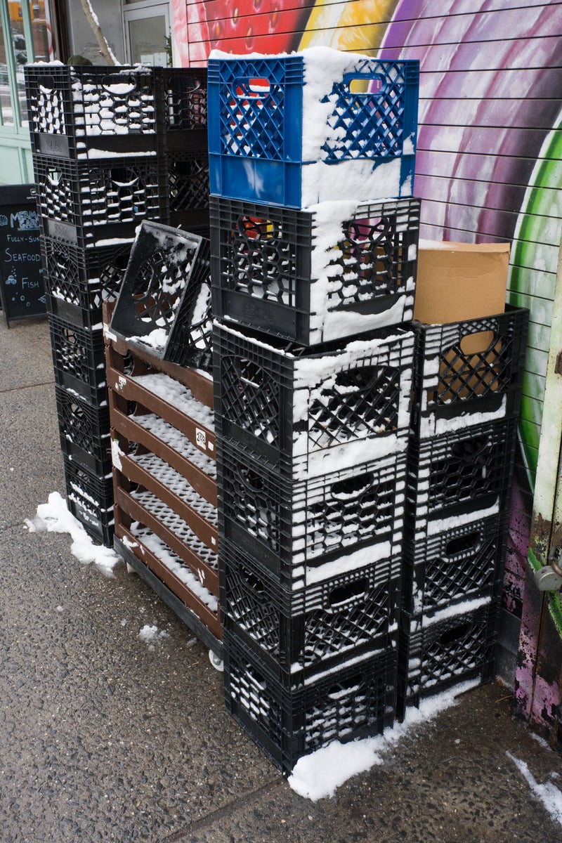 snow 2025-12-27-24.png