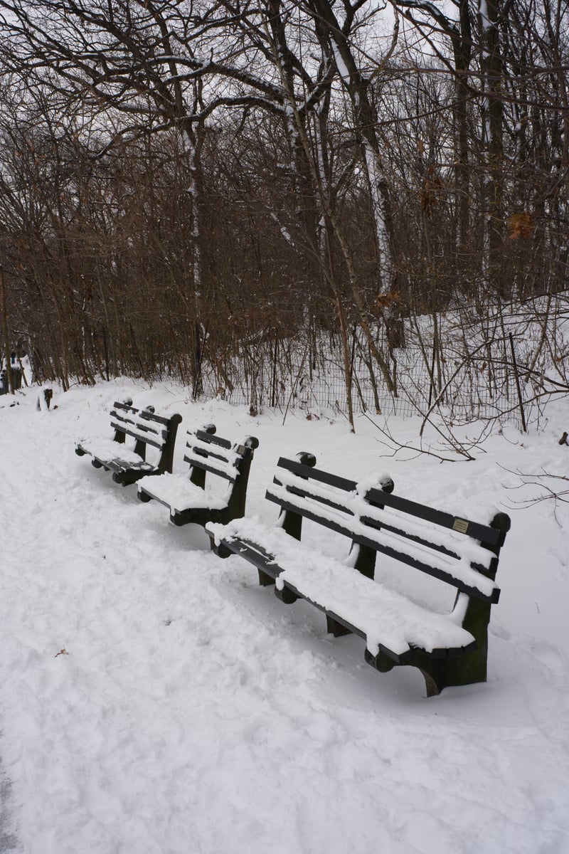 snow 2025-12-27-40.png