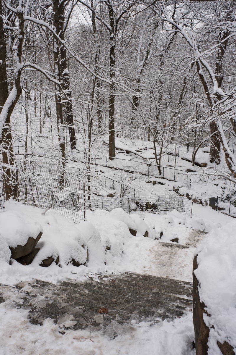 snow 2025-12-27-98.png