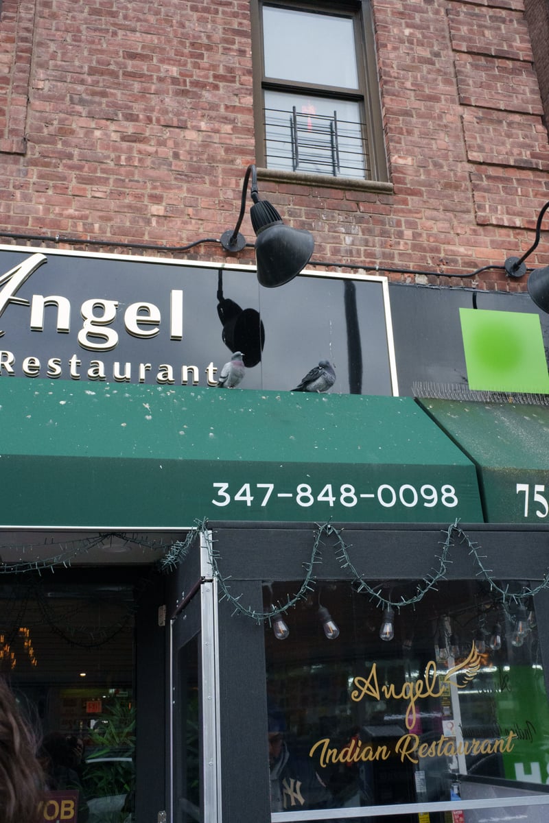 jackson heights—sunnyside 2025-12-07-8.png