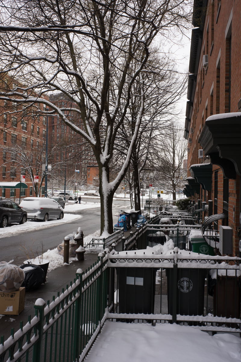 snow 2025-12-27-2.png