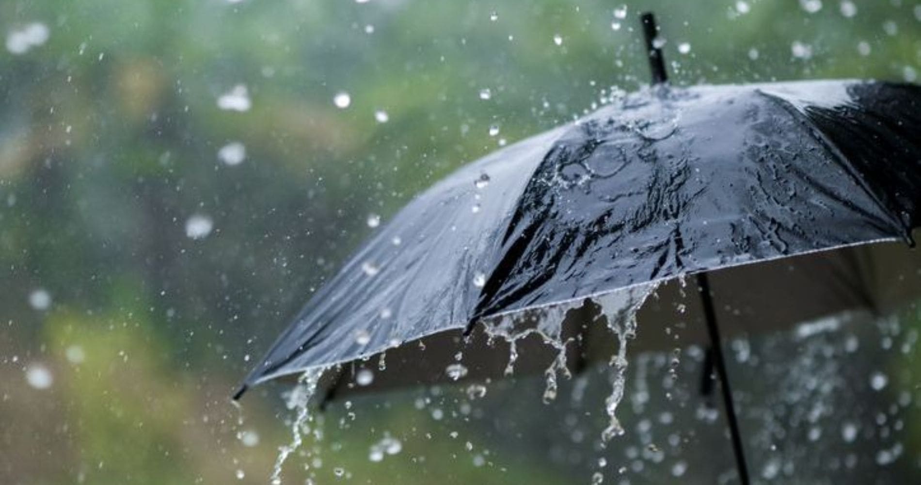 Alerte Météo Algérie : Pluies, orages et vents violents frappent le pays ce week-end !