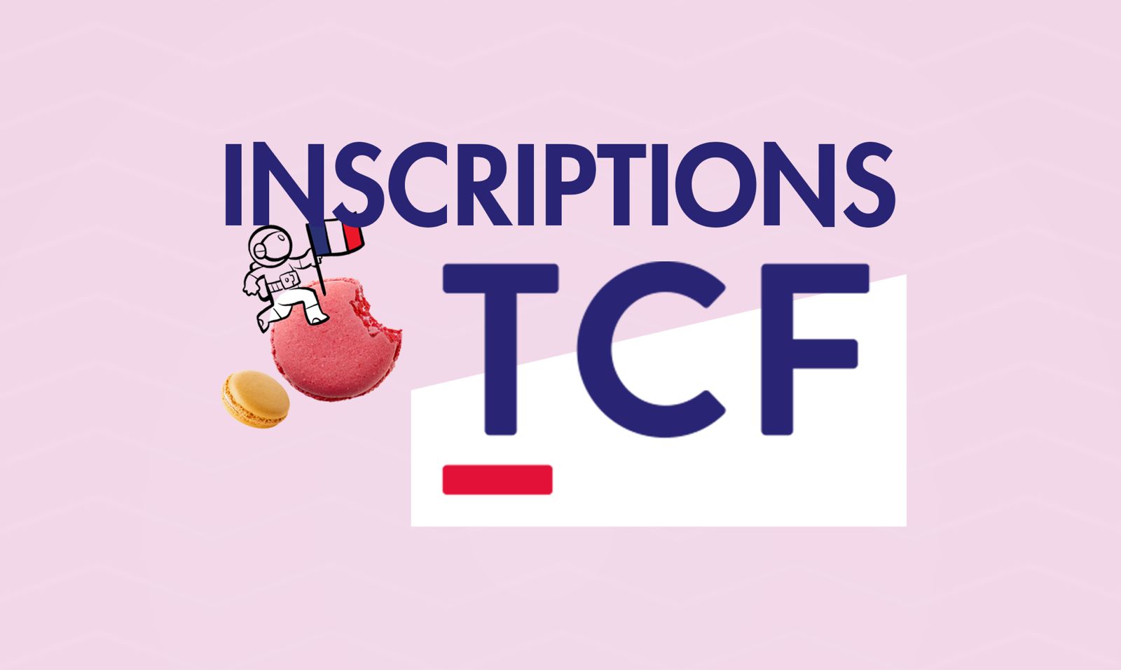 TCF : découvrez pourquoi l’Algérie se distingue mondialement