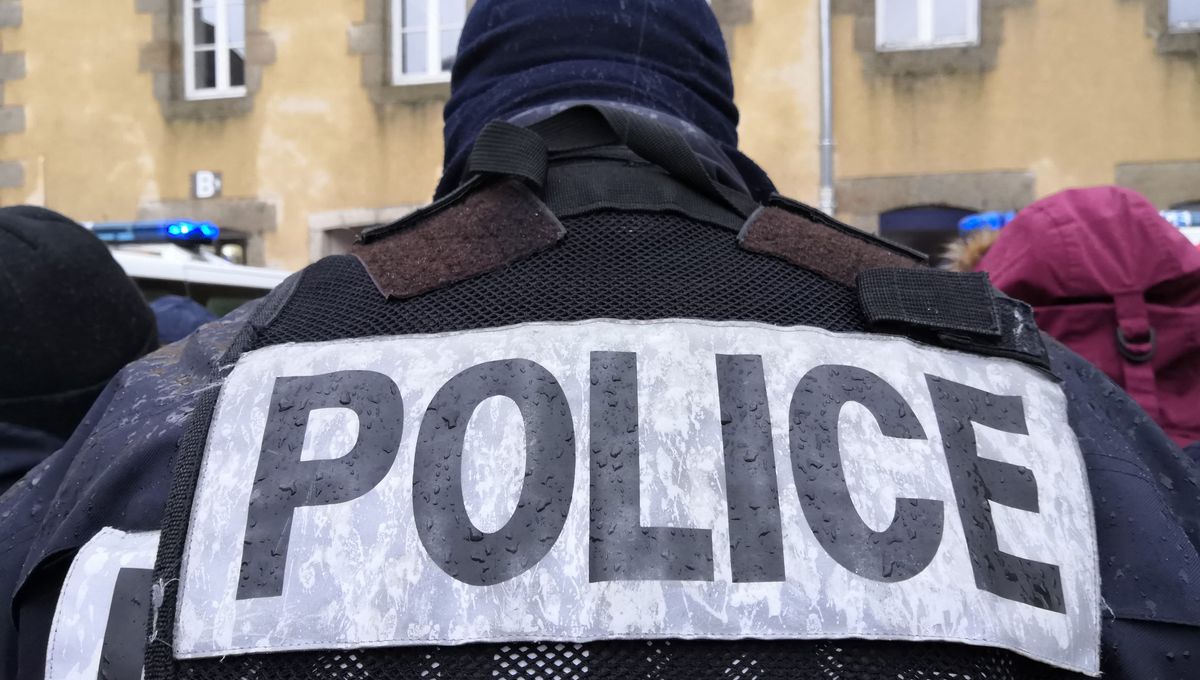 Insolite en Algérie : destruction massive de drogues illicites
