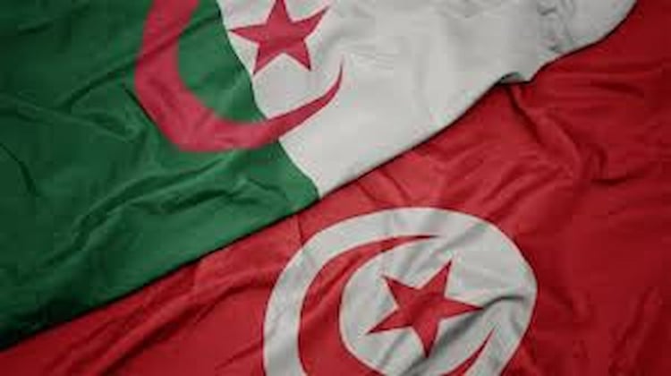 Algériens en Tunisie : ils dépassent désormais les Français en nombre