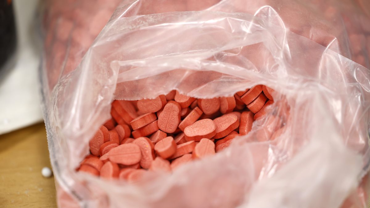 Saisie de 13 000 comprimés d'ecstasy au port de Béjaïa