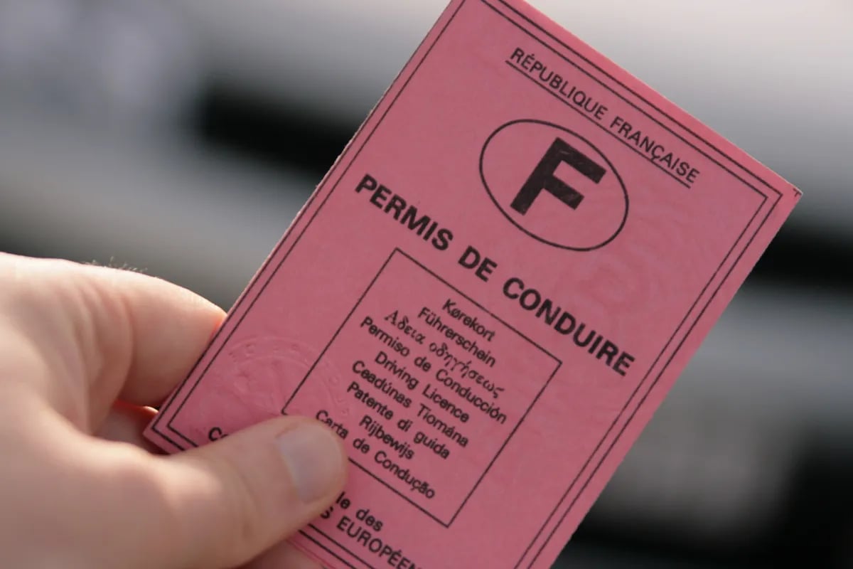 Permis algérien en Italie : tout savoir sur le nouvel accord