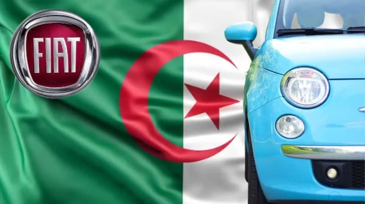 Début des ventes de la Grande Panda en Algérie : info ou rumeur ?