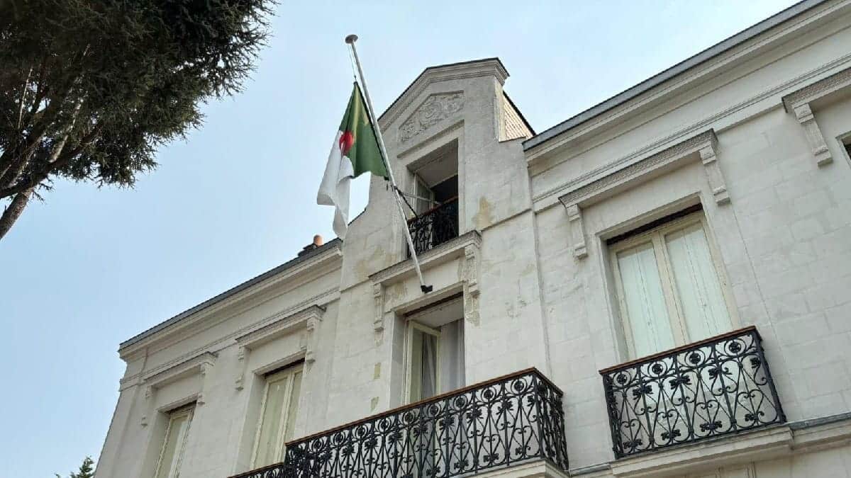 Deux ans en Algérie : son retour en France va vous surprendre !