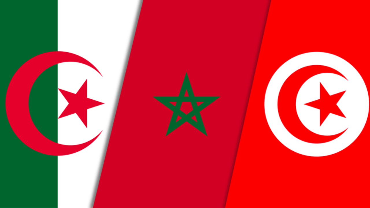 TCF : pourquoi l'Algérie surpasse le Maroc et la Tunisie ?