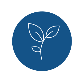 Herald Investment Trust