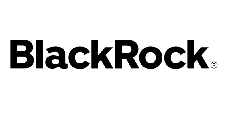 cropped-BlackRock-Smaller-Companies-Trust.png