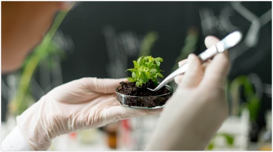 Plant Health Care