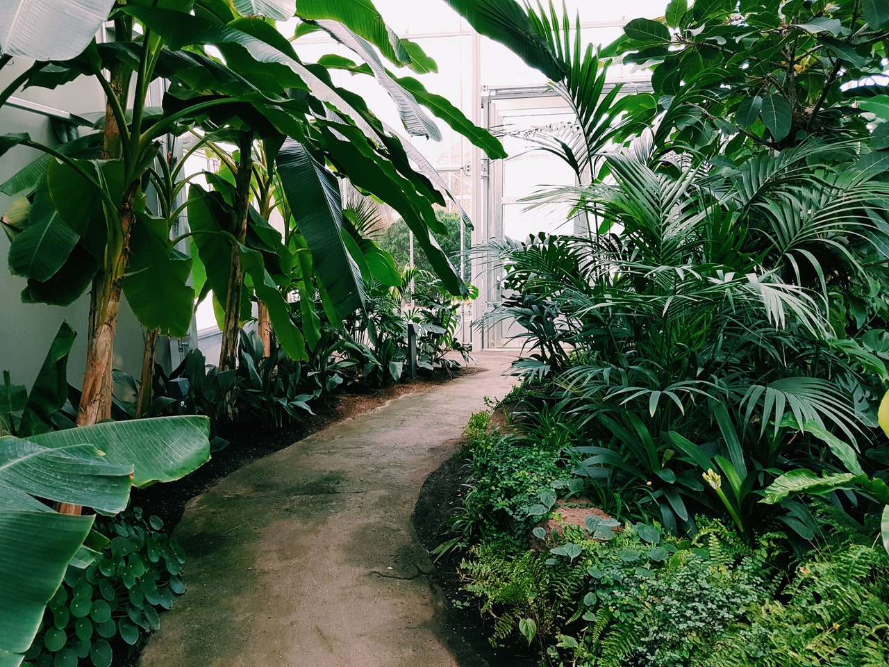Interior landscaping