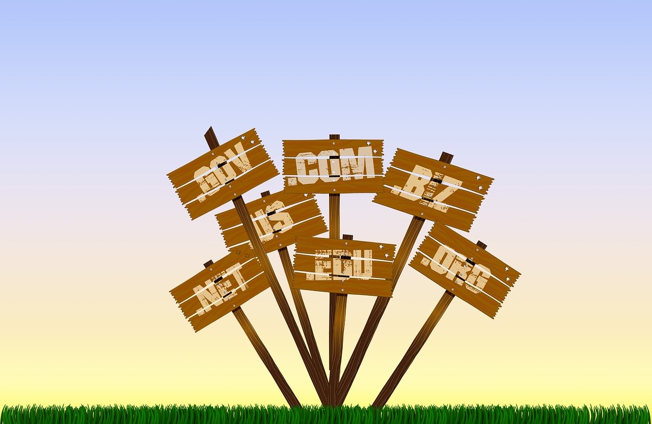Domain Name Services