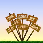 Domain Name Services