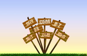 Domain Name Services