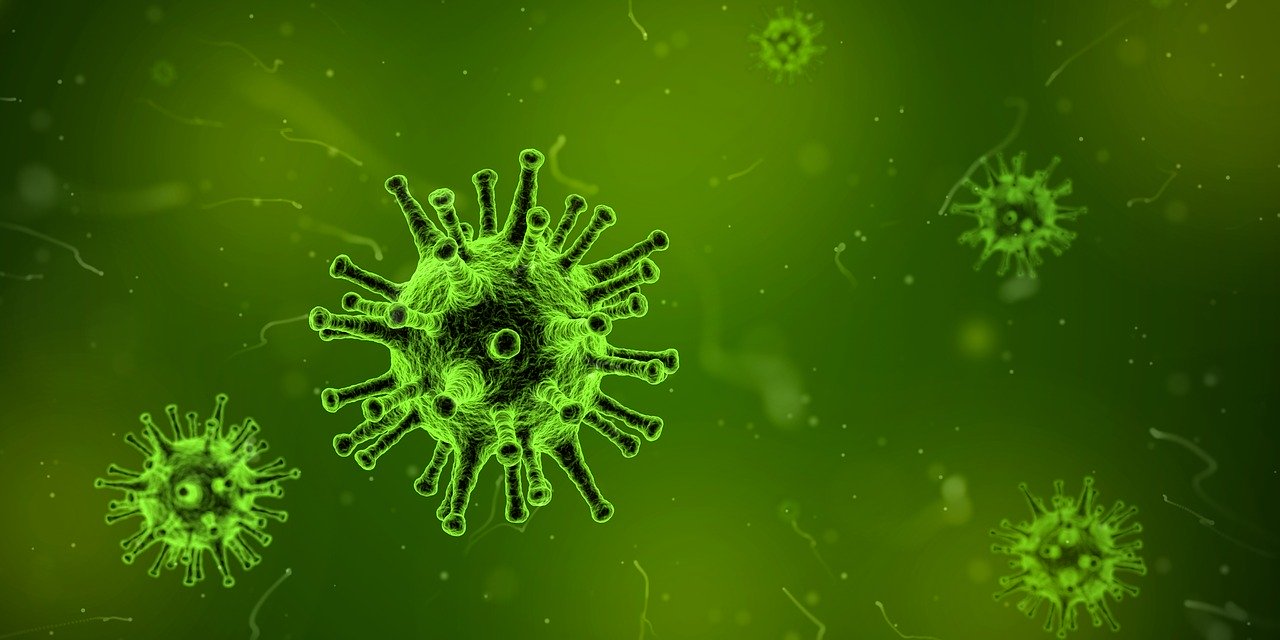 Flu