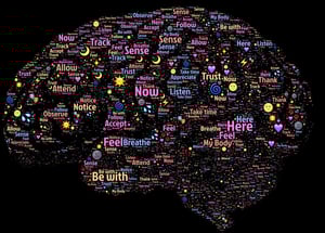 Brain Health