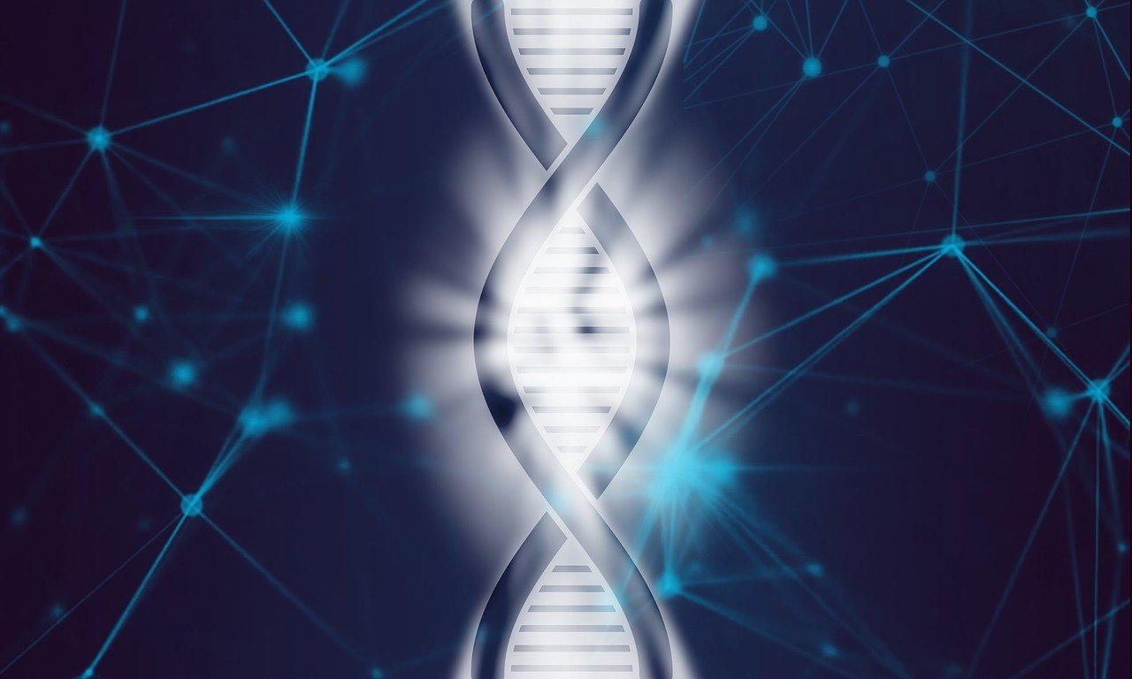 genome