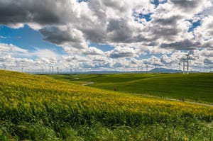 French Wind Farm