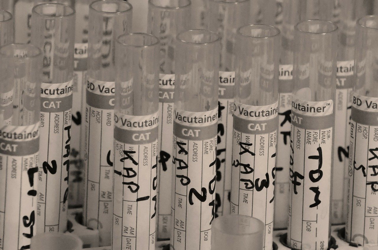 Testing Lab