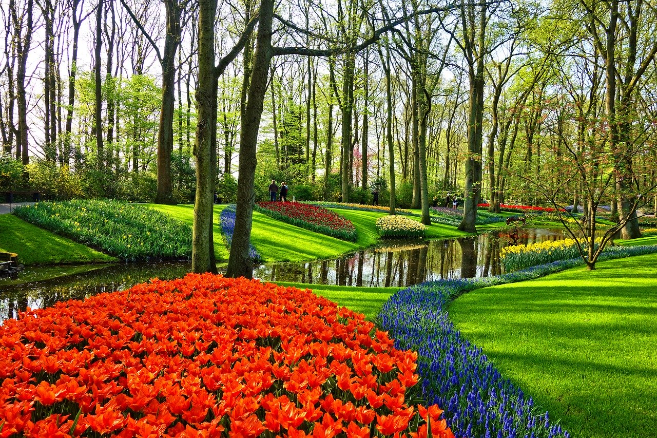 Landscaping