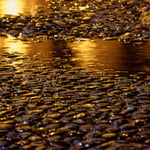 Gold Mining