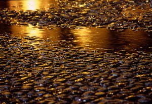 Gold Mining