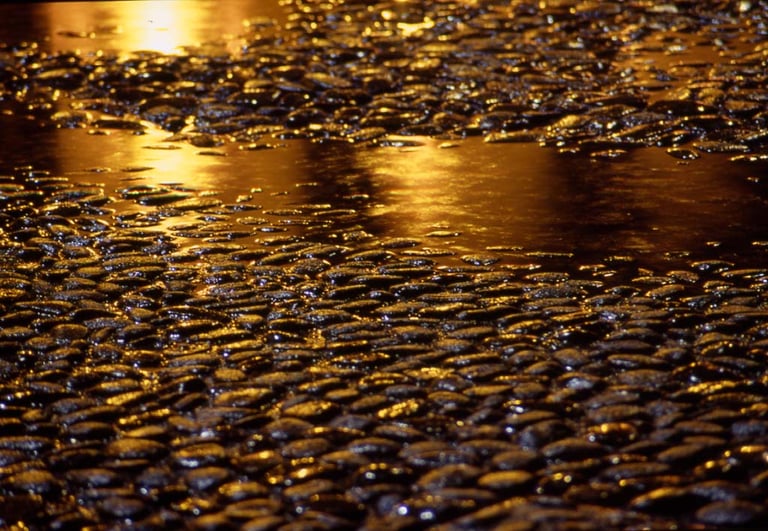 Gold Mining